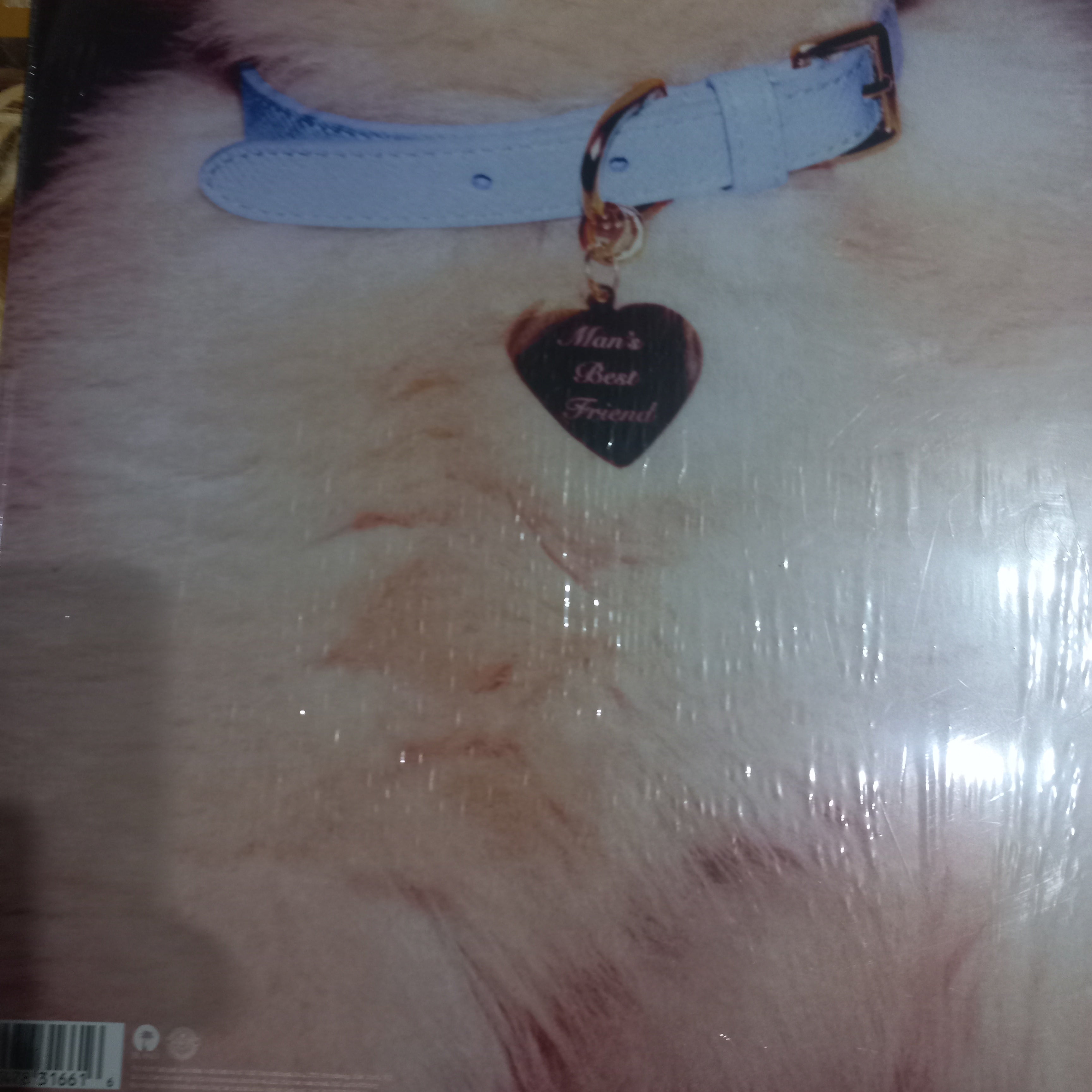 Sabrina Carpenter Mans Best Friend Lp Mint