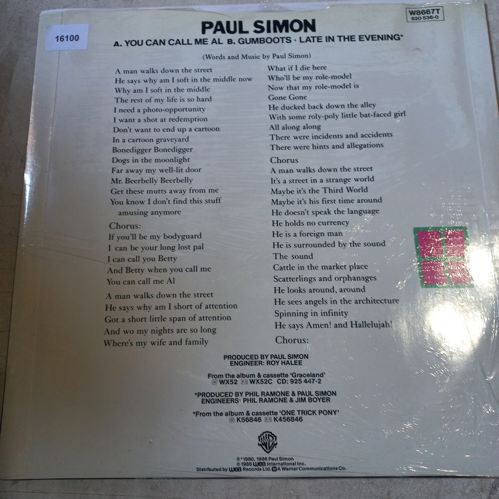 PAUL SIMON YOU CAN CALL ME ALL MAXI 12" SECOND HAND VG+ O NM