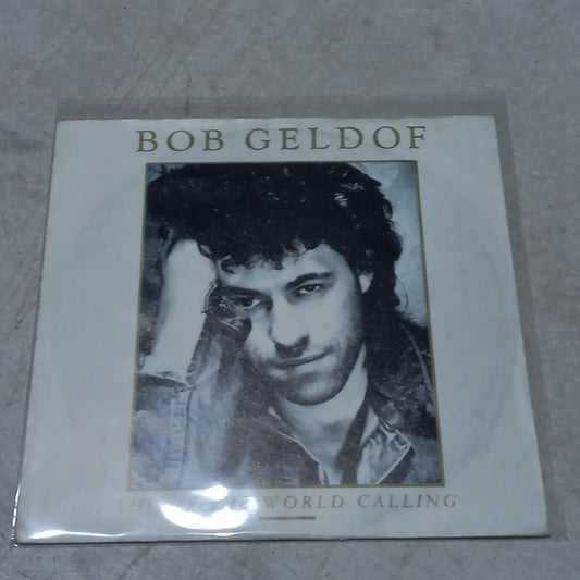 BOB GELDOF THIS IS THE WORLD CALLING Simple VG+