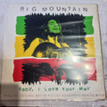 Big Mountain - Baby, I Love Your Way MAXI VG+ (12", Maxi) (RCA, RCA - 74321198061, 74321 19806 1)
