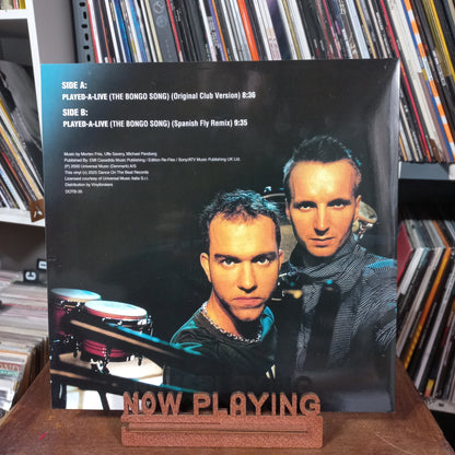 Safri Duo Played Alive MAXI MINT