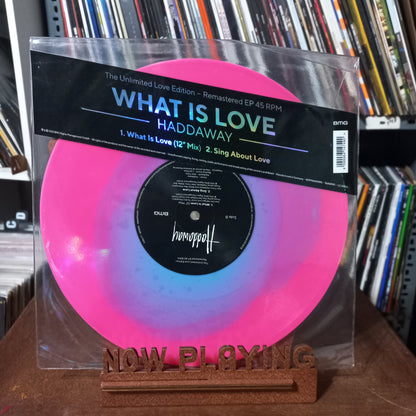 Haddaway What Is Love MAXI  Mint