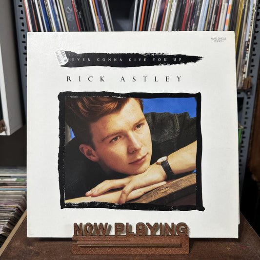 Rick Astley Never Gonna Give You Up