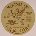 Indeep Last a Dj Saved My Life Remixes - MAXI MINT