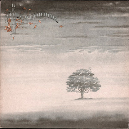 Genesis Wind and Wuthering LP De Epoca VG+ A NM
