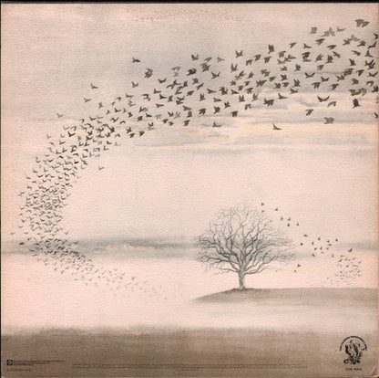 Genesis Wind and Wuthering LP De Epoca VG+ A NM