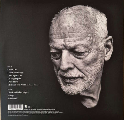 David Gilmour Luck and Strange Vinilo LP Near Mint
