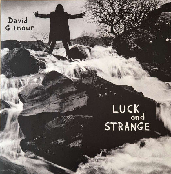 David Gilmour Luck and Strange Vinilo LP Near Mint