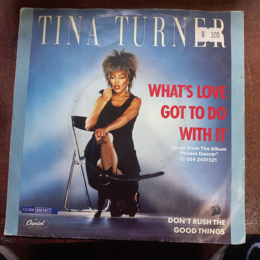 Tina Turner What's Love Got to Do With It