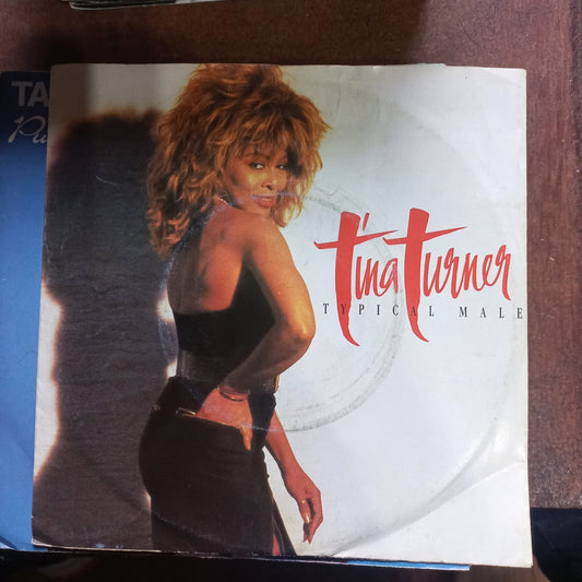 Tina Turner Typical Male