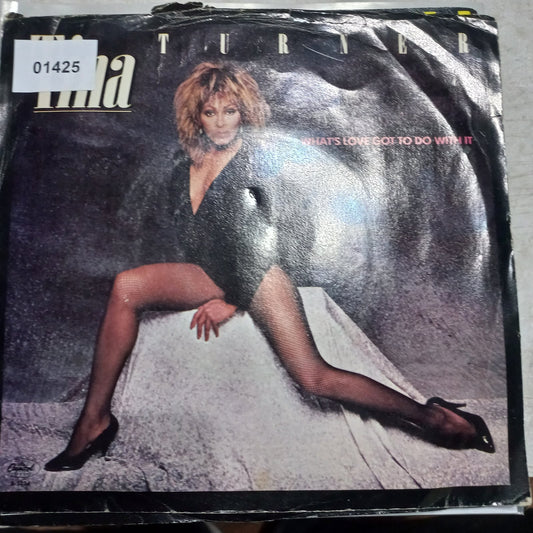 Tina Turner What's Love Got to Do With It